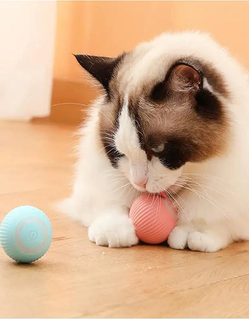 Load image into Gallery viewer, Electric Smart Ball Toys for Pets
