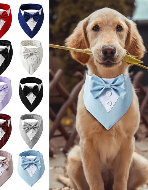 Load image into Gallery viewer, Fashionable Tuxedo Bow Tie For Pets
