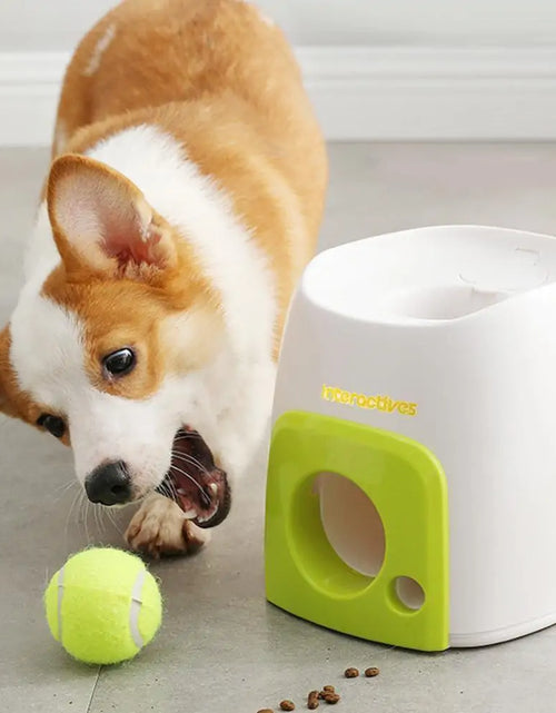 Load image into Gallery viewer, Automatic Interactive Pet Toy
