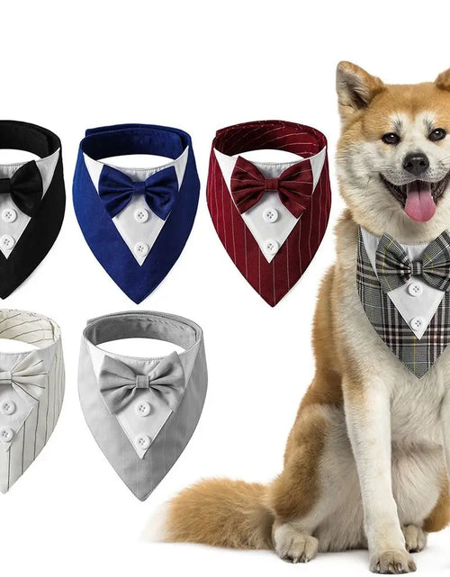 Load image into Gallery viewer, Fashionable Tuxedo Bow Tie For Pets
