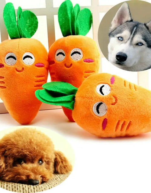 Load image into Gallery viewer, Carrot Pet Toy
