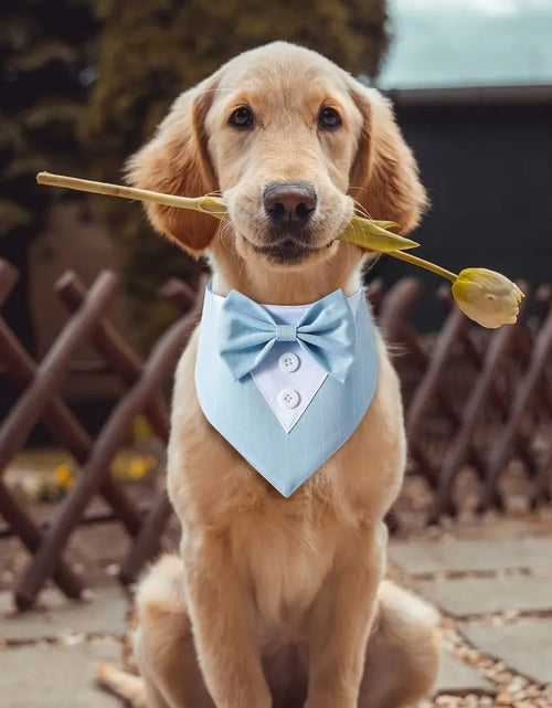 Load image into Gallery viewer, Fashionable Tuxedo Bow Tie For Pets
