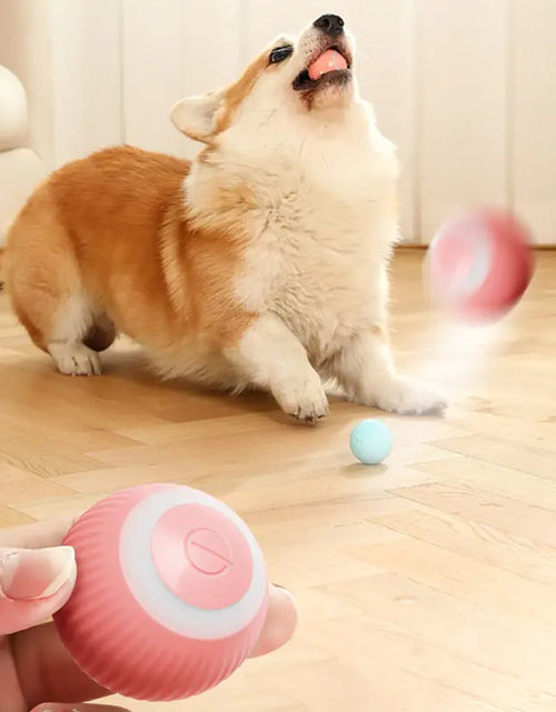 Load image into Gallery viewer, Electric Smart Ball Toys for Pets
